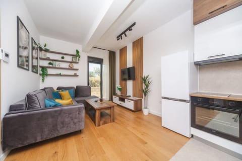Living room, kitchen