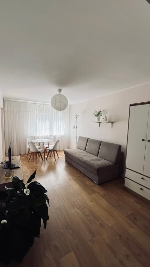 Bed, Living room, Photo of the whole room, Seating area, Dining area