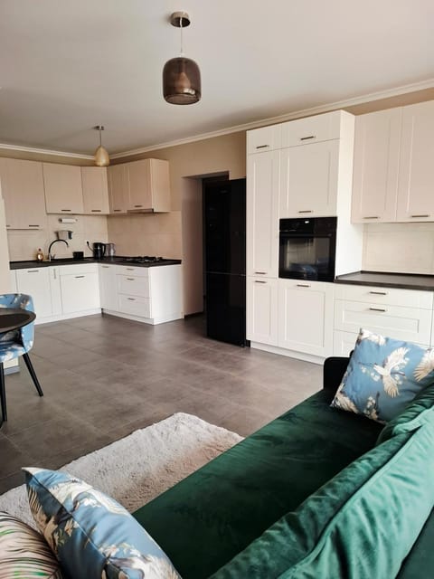 Kitchen or kitchenette, oven, stove