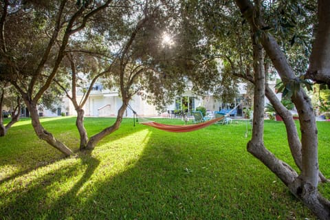 Spring, Day, Natural landscape, Garden, Garden view