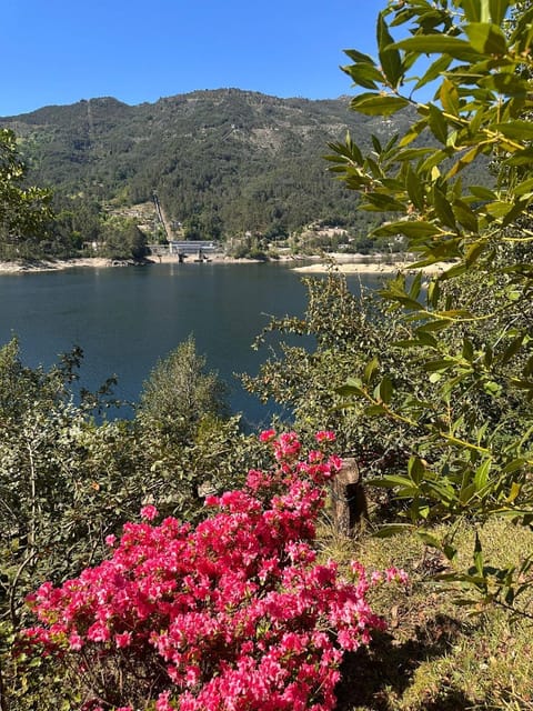 Natural landscape, Lake view