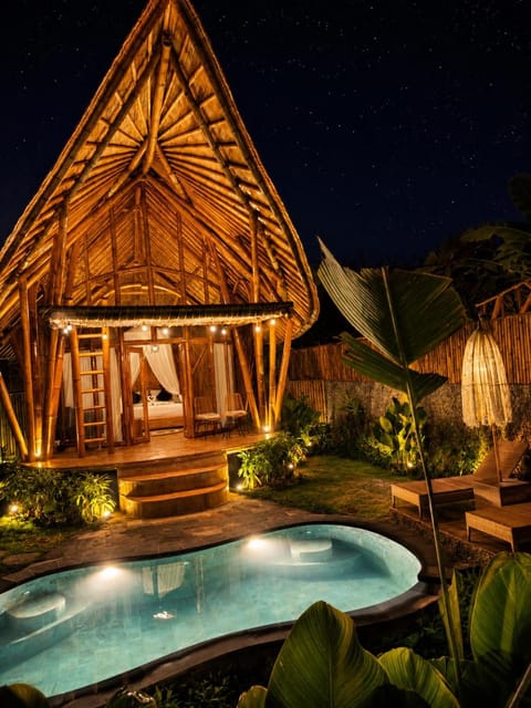Night, Garden, Swimming pool