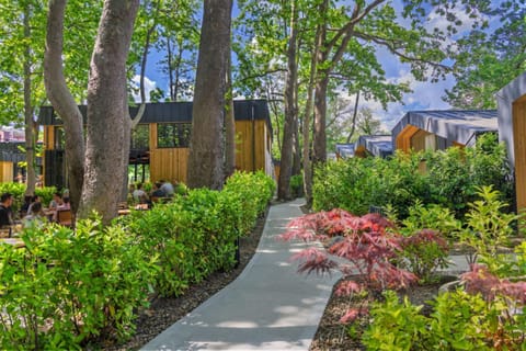 Natural landscape, Garden