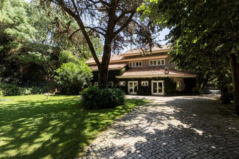 Patio, Garden, Garden view