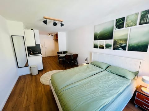 Bed, Kitchen or kitchenette, Living room, Photo of the whole room, Seating area