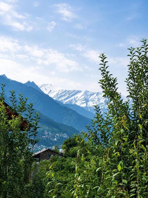 Mountain view