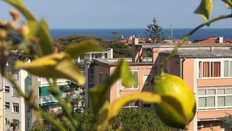 Sea view