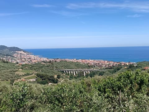 Sea view