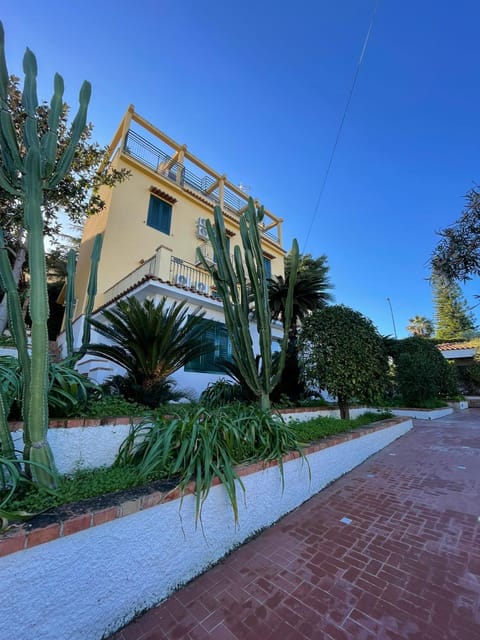 Property building, Garden view