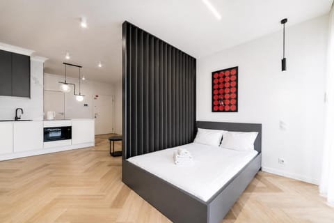 Bed, TV and multimedia, Kitchen or kitchenette, Photo of the whole room, stove, towels