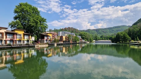 Natural landscape, Lake view