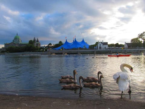 Neighbourhood, Evening entertainment