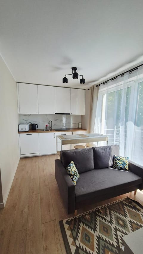 Kitchen or kitchenette, Living room, Seating area, Dining area, stove
