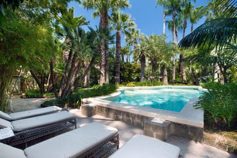 Natural landscape, Garden, Garden view, Swimming pool, sunbed