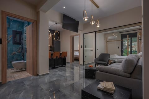 Living room, Photo of the whole room, Seating area