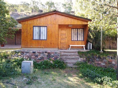Property building, Day, Garden