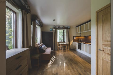 Kitchen or kitchenette, stove