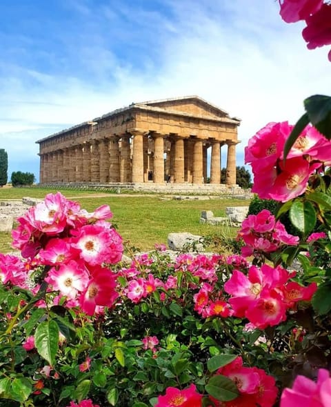 Nearby landmark, Landmark view