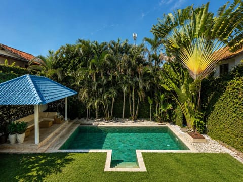 Garden, Garden view, Pool view, Swimming pool