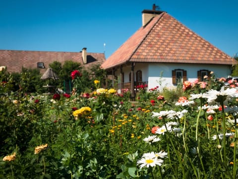 Property building, Garden, Garden view, Street view