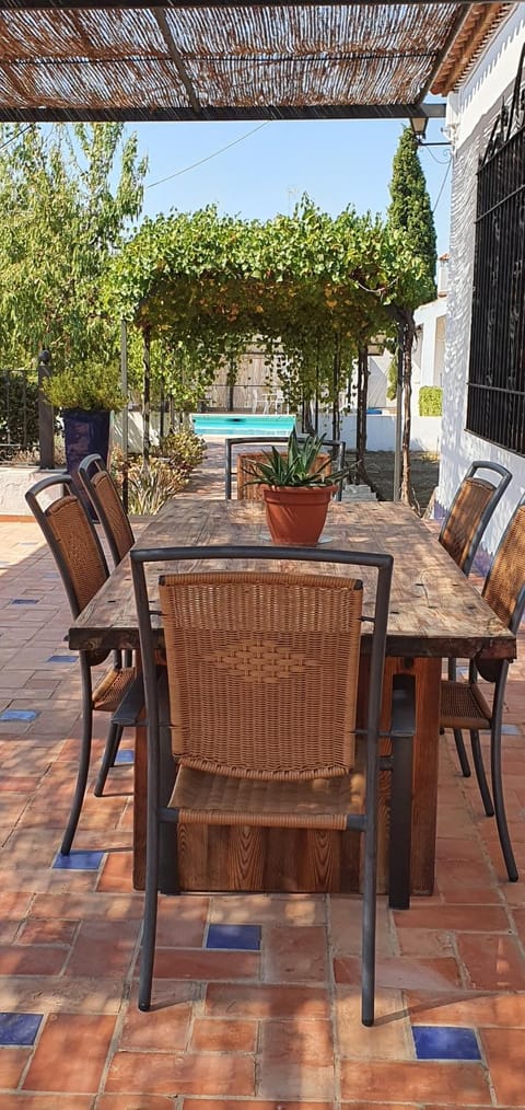Patio, Balcony/Terrace