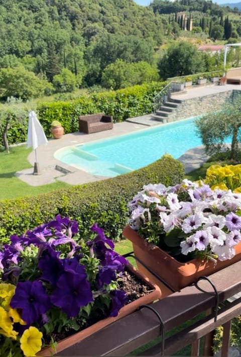 Pool view