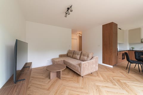 Living room, Seating area, Evening entertainment