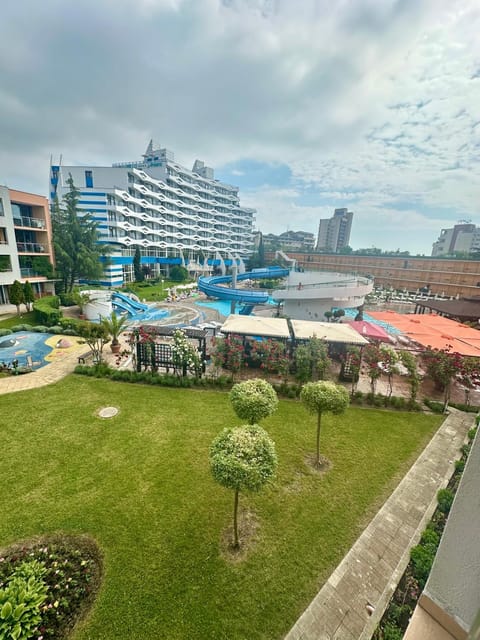 Garden, Pool view, Swimming pool