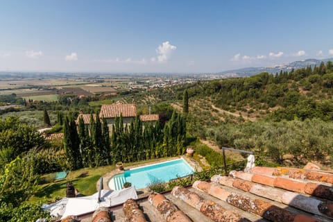 Natural landscape, Garden, Swimming pool, Swimming pool