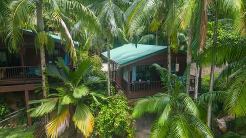 Natural landscape, Garden view