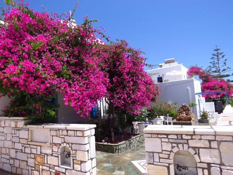 Property building, Garden, Garden view