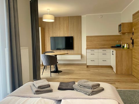 Communal lounge/ TV room, Bed, TV and multimedia, Kitchen or kitchenette, Photo of the whole room, Evening entertainment, Bedroom, minibar, towels, wardrobe