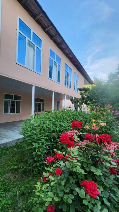 Property building, Facade/entrance, Garden