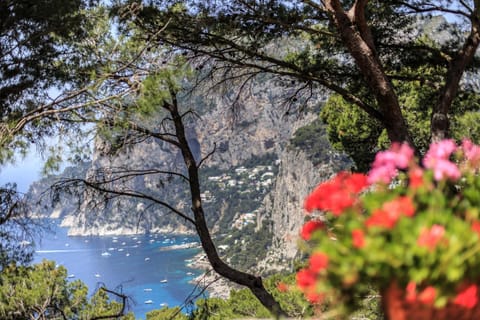 Natural landscape, Mountain view, Sea view