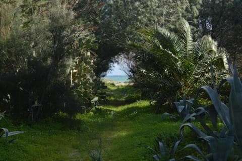 Sea view, Sea view