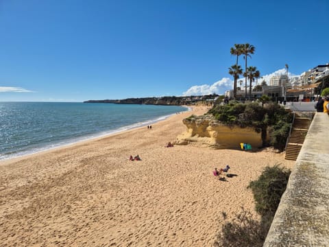 Property building, Natural landscape, Beach