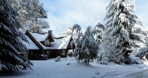 Property building, Natural landscape, Winter, Garden