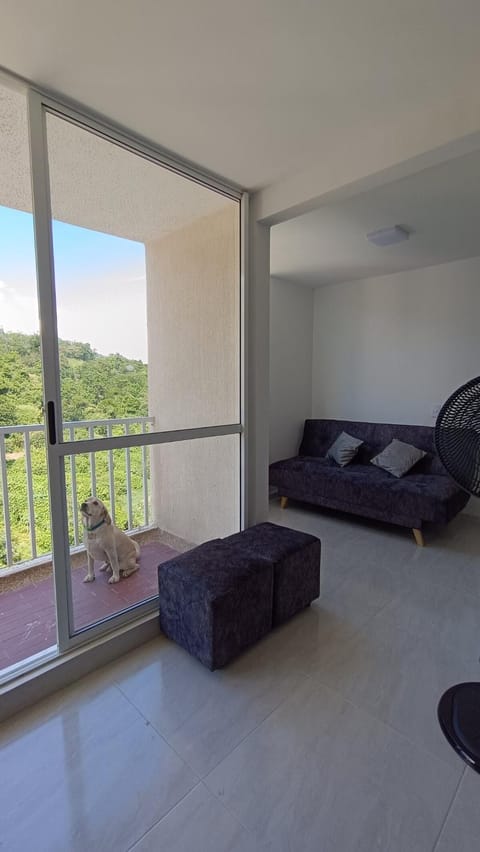 Living room, Photo of the whole room, pet friendly
