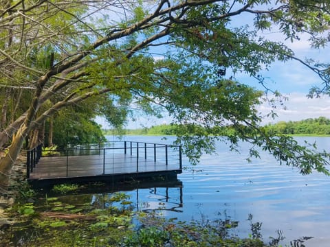 Lake view, River view