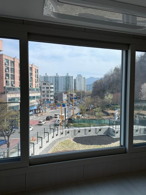 Garden, City view