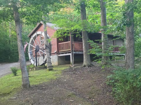 Property view