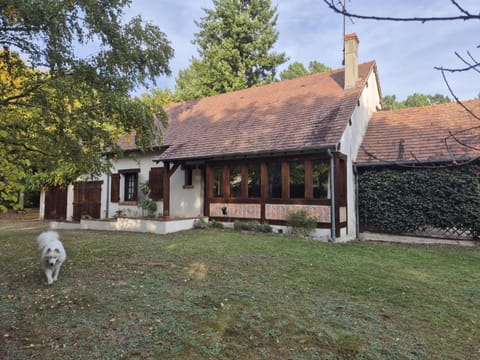Property building, Spring, Day, Garden, Garden view