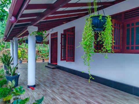 Property building, Garden, Garden view