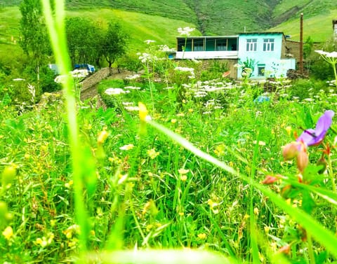 Property building, Spring, Day, Natural landscape, Garden