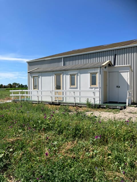 Property building, Spring, Day, Garden