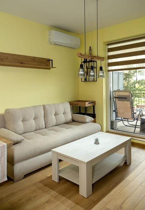 Communal lounge/ TV room, Living room, Seating area, Dining area, air conditioner