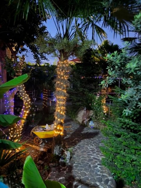 Night, Natural landscape, Garden, Garden view