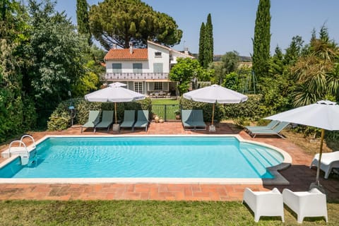 Garden, Swimming pool, sunbed