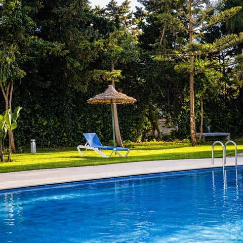 Summer, Garden, Pool view, Swimming pool, Sunrise
