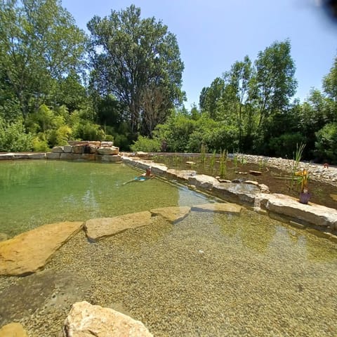 Natural landscape, Garden, Swimming pool